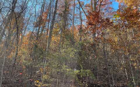 36c Indian Trail, Hayesville, NC 28904