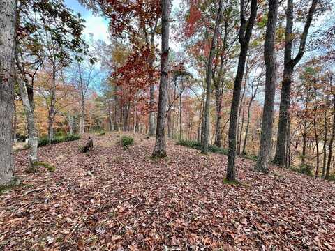 Lot 16 Cricket Lane, Brasstown, NC 28902
