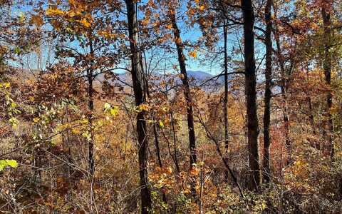 54c Indian Trail, Hayesville, NC 28904