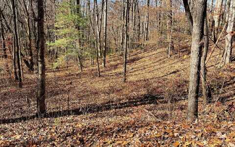 69j Ash Branch Drive, Hayesville, NC 28904