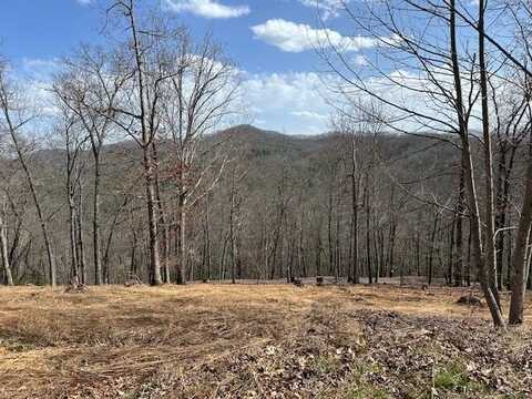 8 Thunder Road, Hayesville, NC 28904