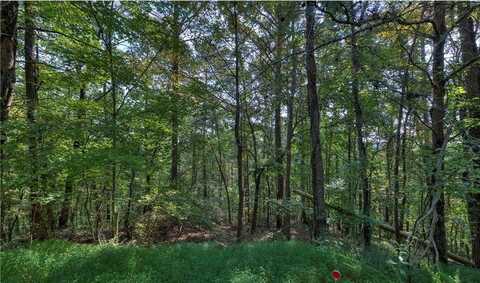 1038 Astro Court, Ranger, GA 30734