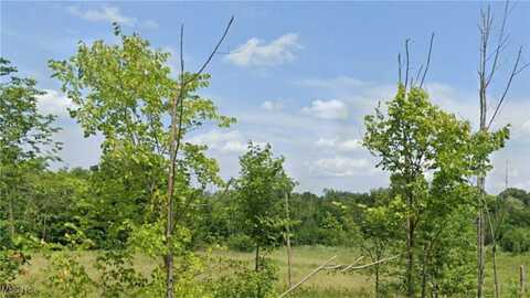 7687 Ravenna Road, Hudson, OH 44236