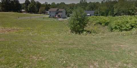 Springdale Avenue, Wintersville, OH 43953