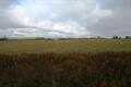 LOT 3 MULE DEER LN, DEER PARK, WA 99006