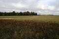 LOT 4 MULE DEER LN, DEER PARK, WA 99006