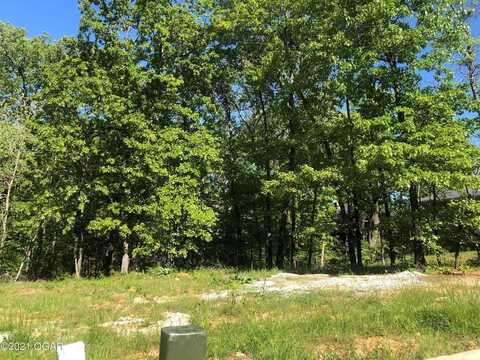 TBD S Scenic Avenue Lot, Joplin, MO 64804