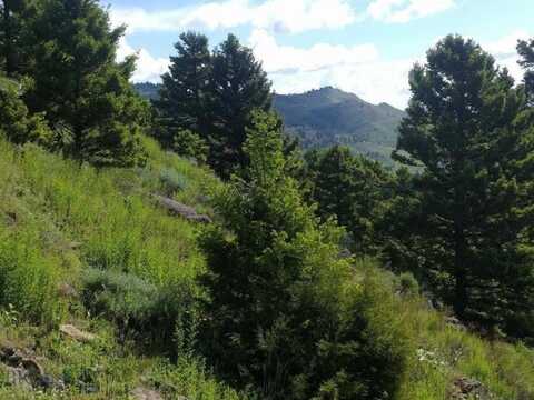Lot 4 Sunflower Lane, Livingston, MT 59047