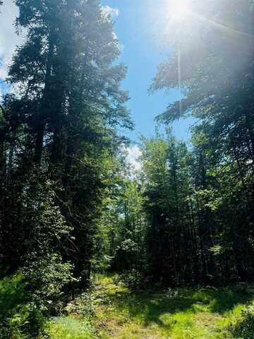 14-6 Hemlock Drive, Hudson, ME 04449