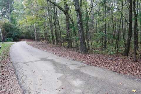 0 Westline Lots Drive, Madison, MS 39110
