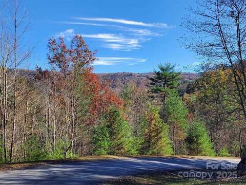 000 Camellia Trail, Brevard, NC 28712