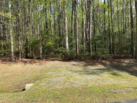 41 Talon Court, Lancaster, VA 22503