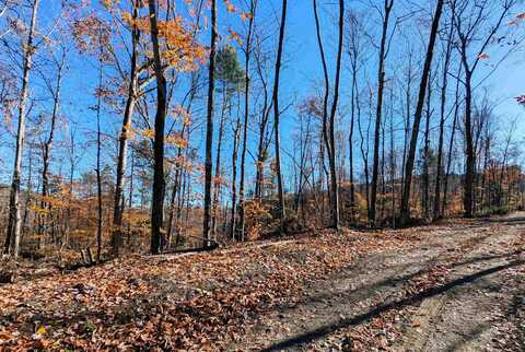 0 Dover Road, Newfane, VT 05351