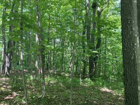 Upper Howes Way, Wilmington, VT 05363