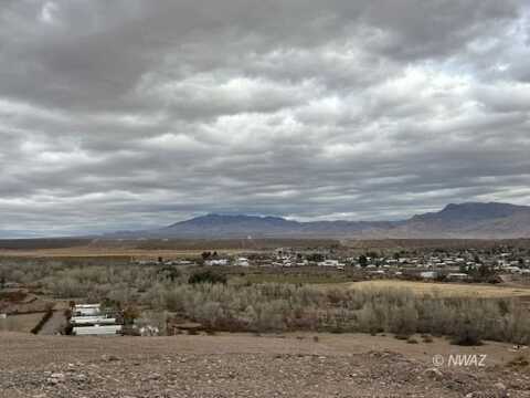 Cactus, Littlefield, AZ 86432