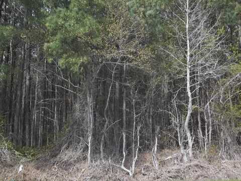 TBD Griffin Swamp Road, Elizabeth City, NC 27909