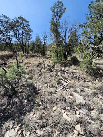 Electrum Cir, Timberon, NM 88350