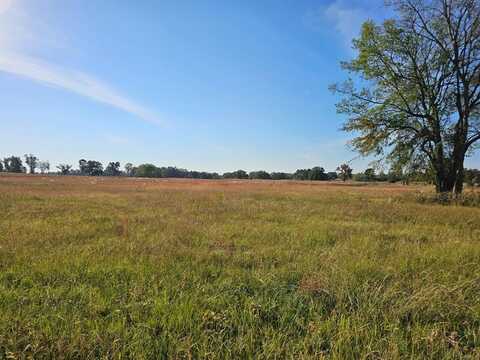 Lot 20 CR 3250, Mount Pleasant, TX 75455