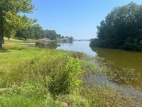 Lot 1 CR 2320, Pittsburg, TX 75686