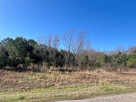 Tbd CR 1400, Mount Pleasant, TX 75455