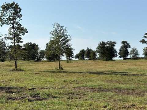 Tbd County Road 2425, Como, TX 75431