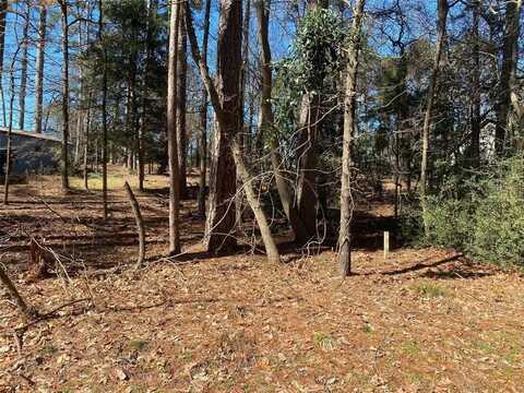 Lot 303 Weeping Willow Cove, Hawkins, TX 75765
