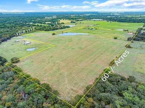 Tbd (60 Acres) VZ County Road 1117, Grand Saline, TX 75140