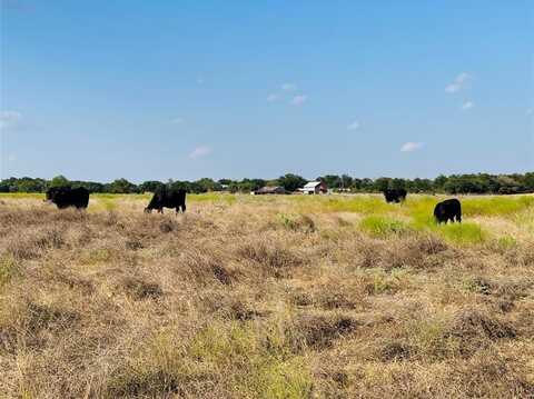 13301 County Road 291, Zephyr, TX 76890