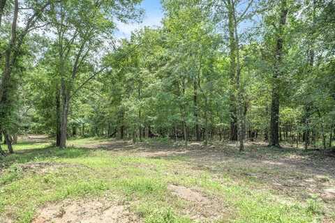 Tbd (16 Acres) VZ County Road 1804, Grand Saline, TX 75140