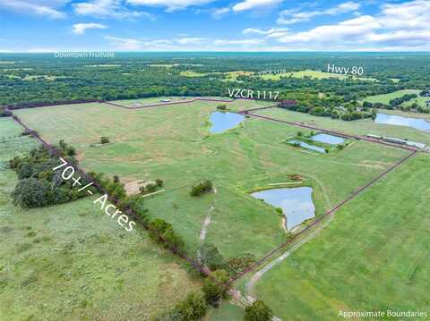 Tbd (70 Acres) VZ County Road 1117, Grand Saline, TX 75140