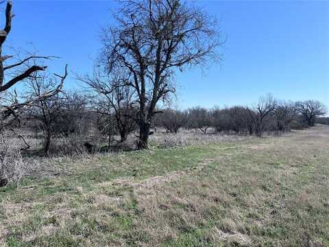 22250 Farm to Market 2156, Dublin, TX 76446