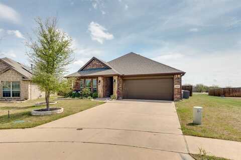 1729 Katelynn Lane, Anna, TX 75409