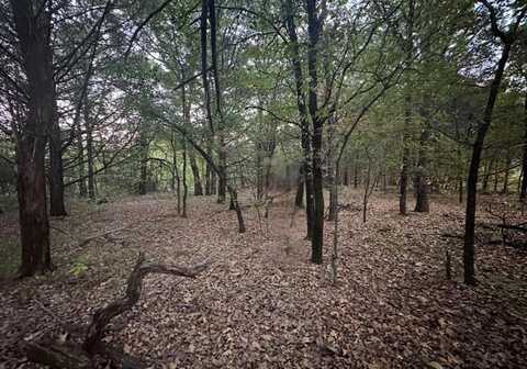 776 Palisades Drive, Gordonville, TX 76245