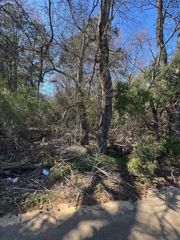 Tbd CR 2120, Pittsburg, TX 75686