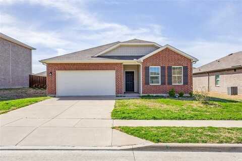 821 Cherry Blossom Street, Anna, TX 75409