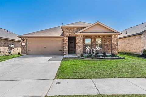 1133 Loomis Trail, Justin, TX 76247