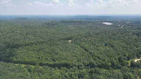 Tbd Cactus Rd, Pittsburg, TX 75686