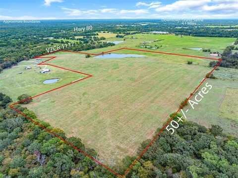 Tbd (50 Acres) VZ County Road 1117, Grand Saline, TX 75140