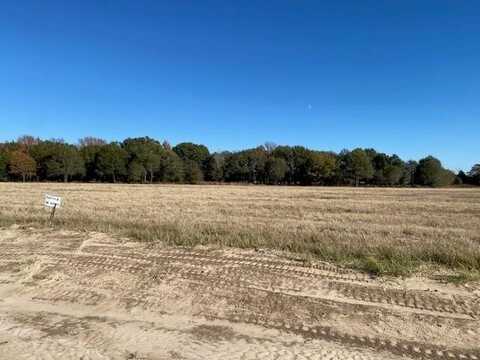 Tr 6 Meadow Park, Athens, TX 75752