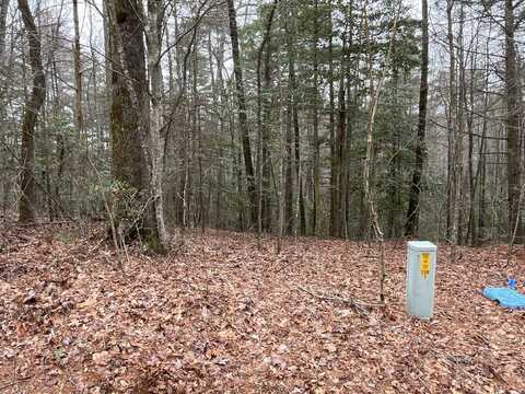 9999 Upper Whitewater Road, Sapphire, NC 28774