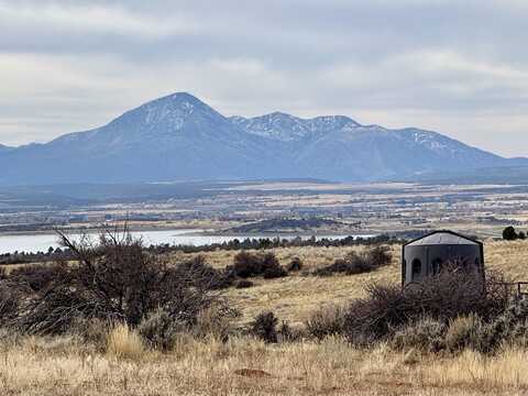 25515 X Road, Dolores, CO 81323