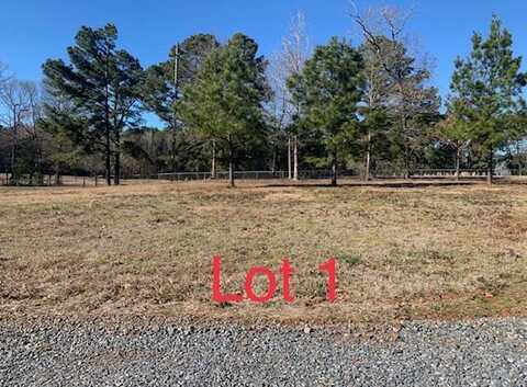 Lakeside Hideaway Subdivision Interior, Many, LA 71449