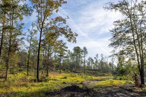 0 Whitehouse Fork Road, Bay Minette, AL 36507