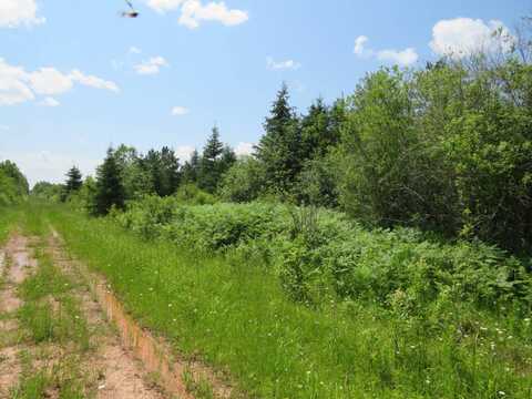 TBD Off Big Bear and Old 28 Road, Ewen, MI 49925