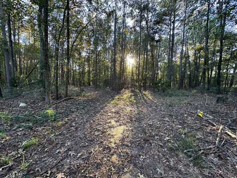 1764 Lavender Rd, Gilmer, TX 75644