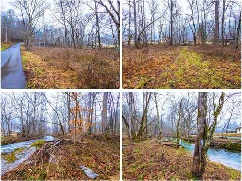 1392 Rocky Flats Road, Cosby, TN 37722