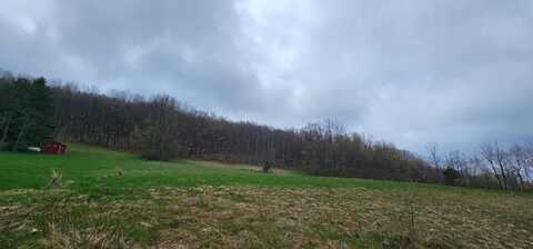 Lot 7.4 Hankins Road, Fremont Center, NY 12736