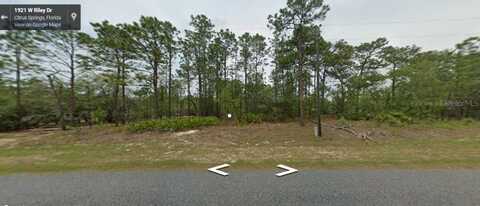 1921 W Riley Drive, Dunnellon, FL 34434