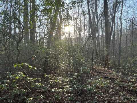 9999 Westwood Drive, Marion, NC 28752