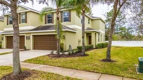 8609 Fiddleleaf Court, Tampa, FL 33647